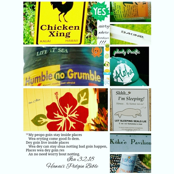 Meet your Posher, Alice - Picture 7 of 15